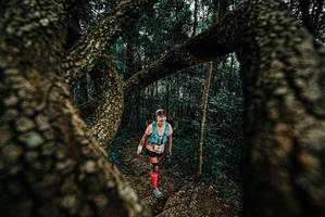 BIB: 
                            <button type="button" onclick="openModal(25673737)" class="btn btn-primary btn-sm float-right btn-popup" data-toggle="modal" data-target=".modal-high-quality">
                        <i class="fas fa-shopping-cart"></i> Add to Cart
                    </button>
                                            <button type="button" onclick="isThisMe(25673737, true)" class="btn btn-success btn-sm float-right btn-popup btn-isme hidden" data-toggle="tooltip" data-placement="bottom" title="นี่คือรูปของคุณใช่ไหม คลิกที่นี่เพื่อเอาเข้าอัลบั้ม">
                        <i class="fas fa-plus"></i> Add to album
                    </button>
                    <button type="button" onclick="isThisMe(25673737, false)" class="btn btn-warning btn-sm float-right btn-popup btn-isnotme hidden">
                        <i class="fas fa-ban"></i> Remove from album
                    </button>